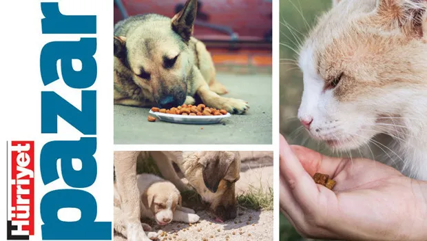 ‘Aç hayvan daha saldırgandır’