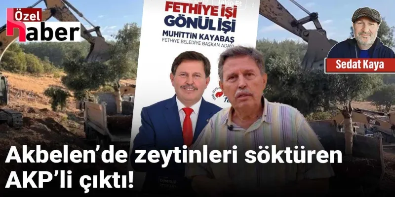 Akbelen'de Zeytin Katliamı! AKP'li O İsim Kim? Şok İddia!