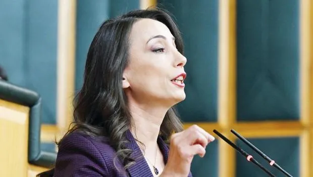 Bahçeli'den DEM'e Kritik Uyarı! Süreç Neden Önemli?