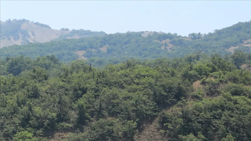 Balıkesir'de Ormanlara Giriş Yasaklandı! İşte Sebebi