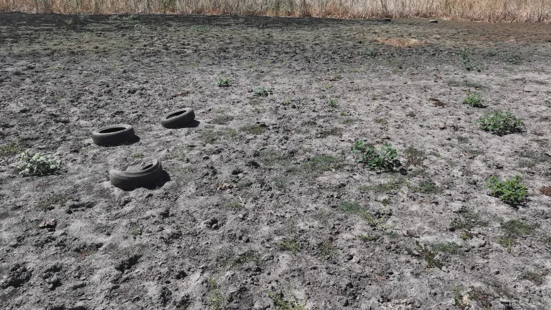 Edirne'yi kuraklık vurdu! Yağcılı Göleti kurudu