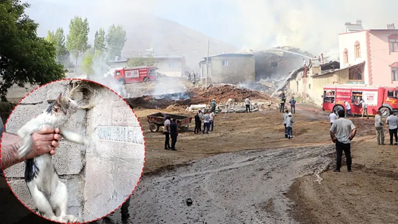 Erzurum'da alevlerin içinde kalan kediyi kurtardı: Can suyu oldu