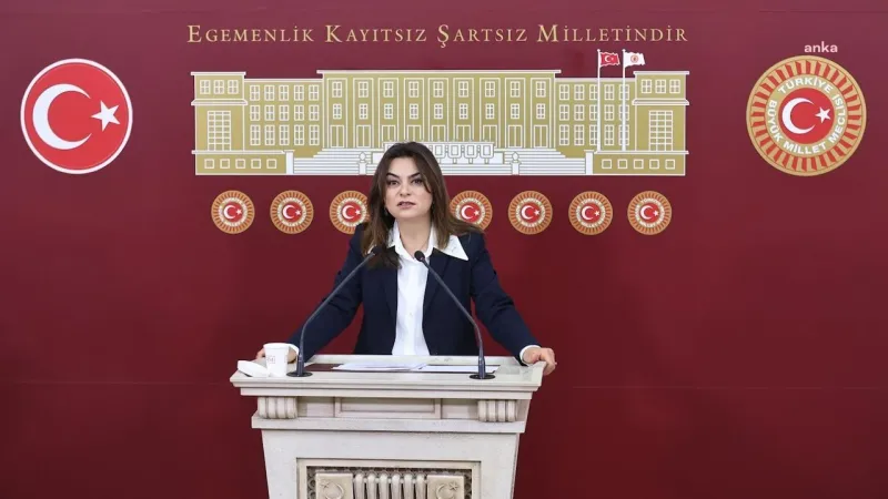 Gülistan Koçyiğit'ten Barış Çağrısı: Öcalan Dinlenmeli!