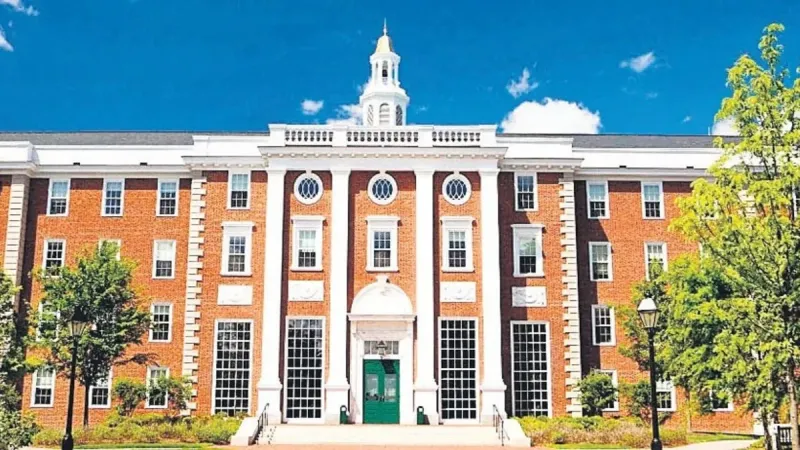 Harvardlı Zeynep Lal'e Dev Teklif! Bankalar Sıraya Girdi