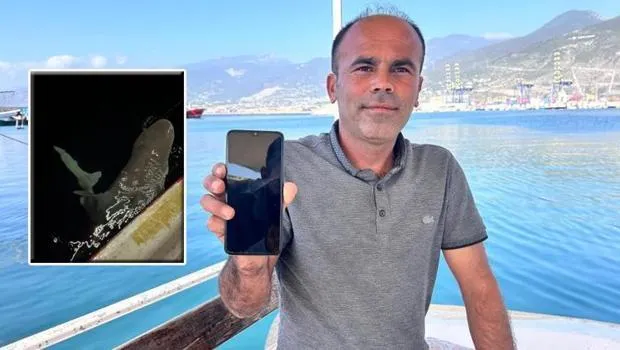 Dev Köpekbalığı İskenderun'da Yakalandı! Sonra Ne Oldu?