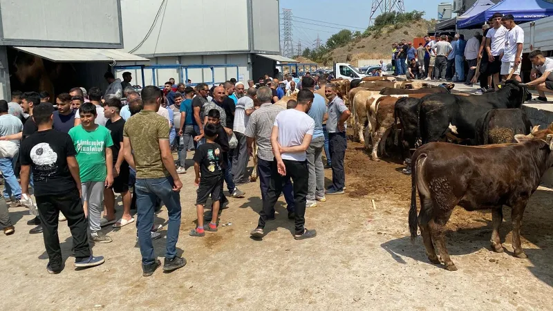 İzmir'de Kurban Kesimlerinde Yoğunluk! İşte Detaylar