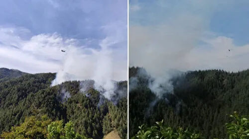 Kahramanmaraş'ta orman yangını: Ekipler alevlerle mücadele ediyor