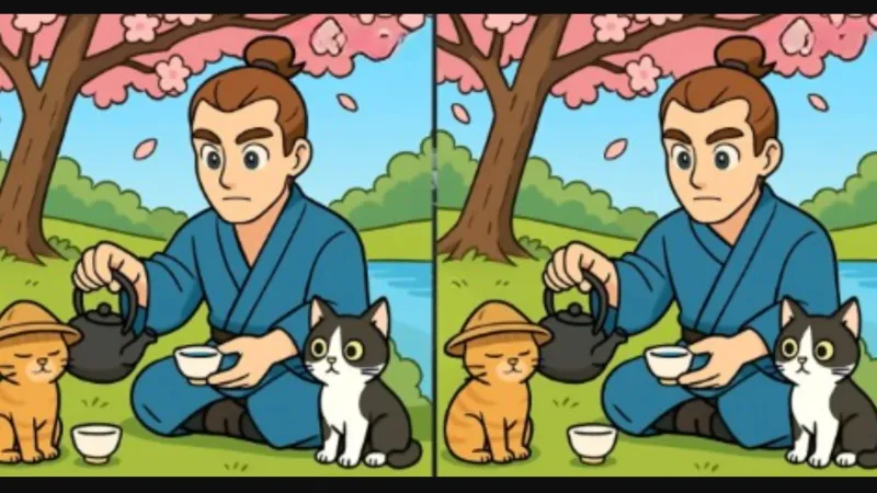 Zeka Testi: Kedi Severler Bu Farkı 12 Saniyede Bulabilecek mi?