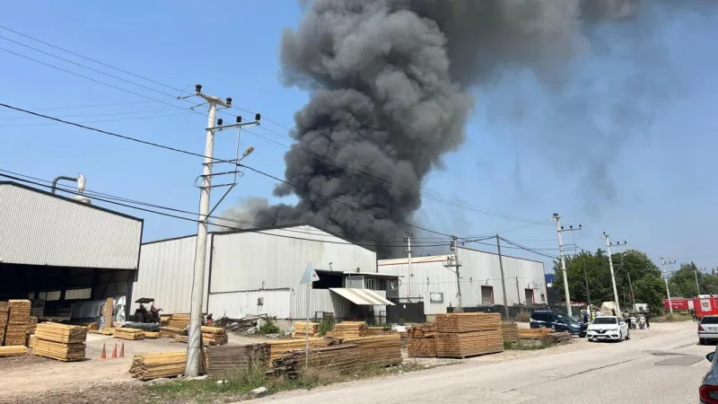 Kocaeli'de Korkunç Yangın! Boya Fabrikası Alevlere Teslim