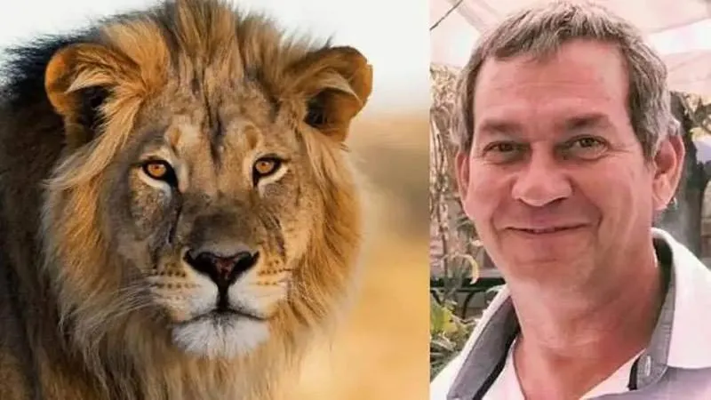 Lüks safari kâbusa döndü, Alman iş insanı aslan saldırısında hayatını kaybetti