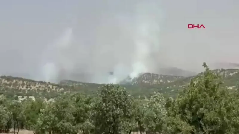 Mardin'de Orman Yangını! 3 Saatte Kontrol Altına Alındı mı?