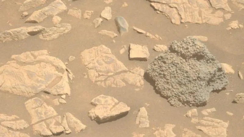 Mars'ta Yaşam mı Bulundu? NASA'dan Şok Eden Açıklama!