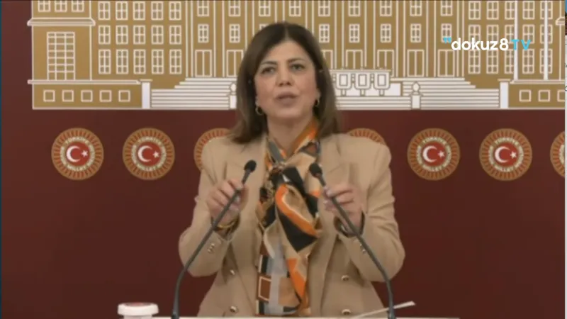 Meral Danış Beştaş: Kadının tek kimliğinin annelik olduğu tezine ve iddialarına karşıyız