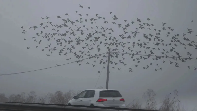 Meteoroloji'den 15 şehrimiz için sis ve pus uyarısı