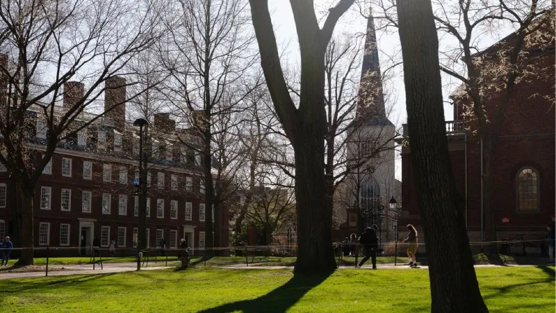 Harvard'da Şok! Rus Bilim Kadını Kurbağa Embriyosuyla Yakalandı!