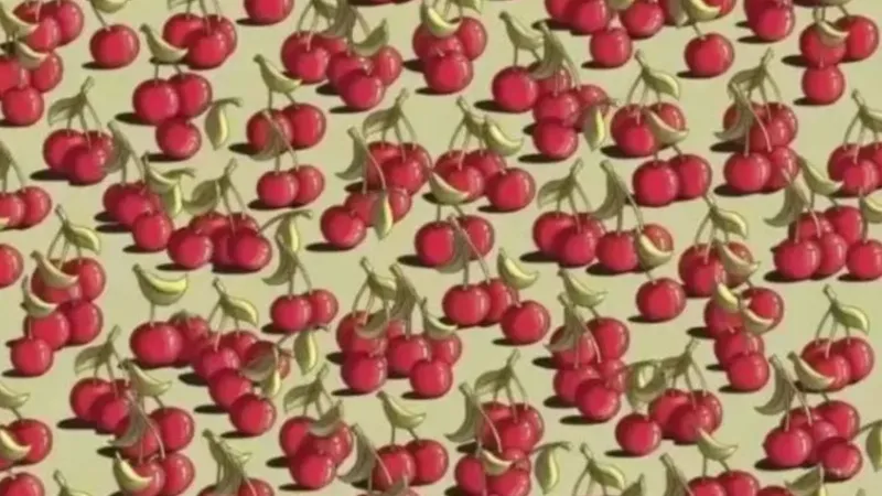 Dâhiler Buluyor! Kirazların Arasındaki Domatesi 5 Saniyede Bul