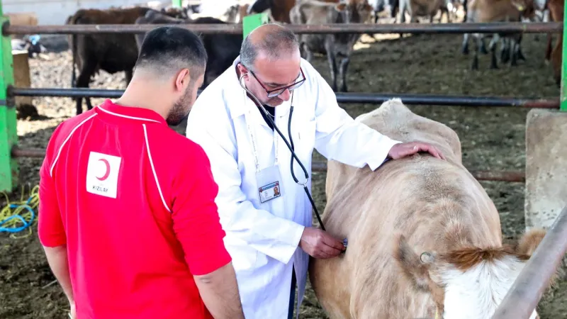 Kızılay Kurban Vekalet Fiyatları Şoku! Bu Fiyata İnanmayacaksınız!