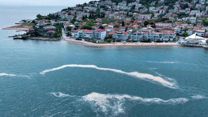 Marmara'da Müsilaj Kabusu Geri mi Döndü? İşte Son Durum!