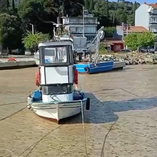 Marmara Alarm Veriyor! Müsilaj Tehlikesi Geri mi Döndü?