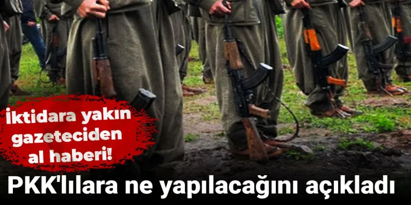 İktidara Yakın Gazeteciden Şok Sözler: PKK'lılara Ne Yapılacak?