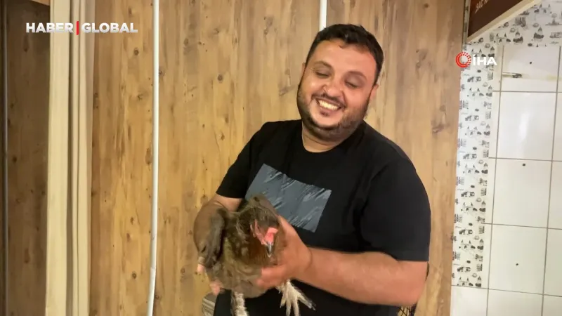 Tavuk Dönerciyi Şaşkına Çevirdi! Yavruları İçin Neler Yaptı?