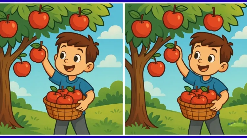 Olgunlaşmış elmaları ağaçtan alan iki çocuk arasındaki 3 farkı sadece yüksek IQ'su olanlar 12 saniyede buluyor