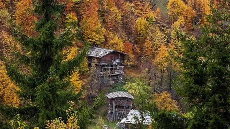 Pastırma sıcakları ne zaman, hangi tarihte başlayacak? Pastırma sıcakları hangi ayda olur?