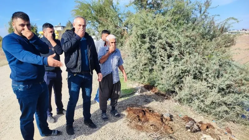 SON DAKİKA… Adana’da mide bulandıran görüntü! Vatandaşlar tepki gösterdi: Her yer kemik kaynıyor!
