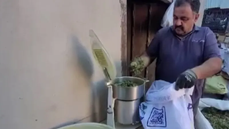 Tek ilçemizde var... 120 çeşit bitkinin karışımıyla elde ediliyor!