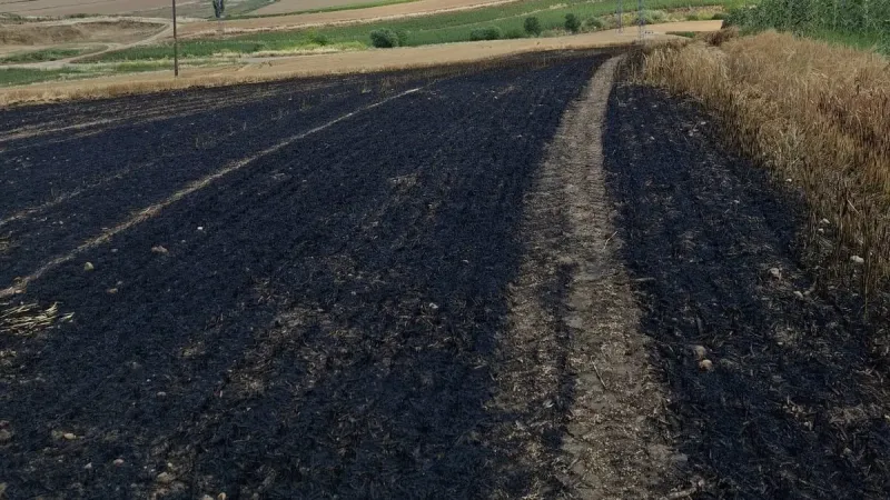Tekirdağ'da Arpa Tarlası Alevlere Teslim! Neler Oluyor?