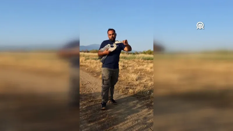 Ege Şivesiyle Balıkçıl Sohbeti! Tireli Vatandaş Sosyal Medyayı Yıktı