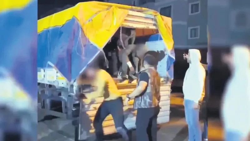 Türkiye düzensiz göçe duvar oldu